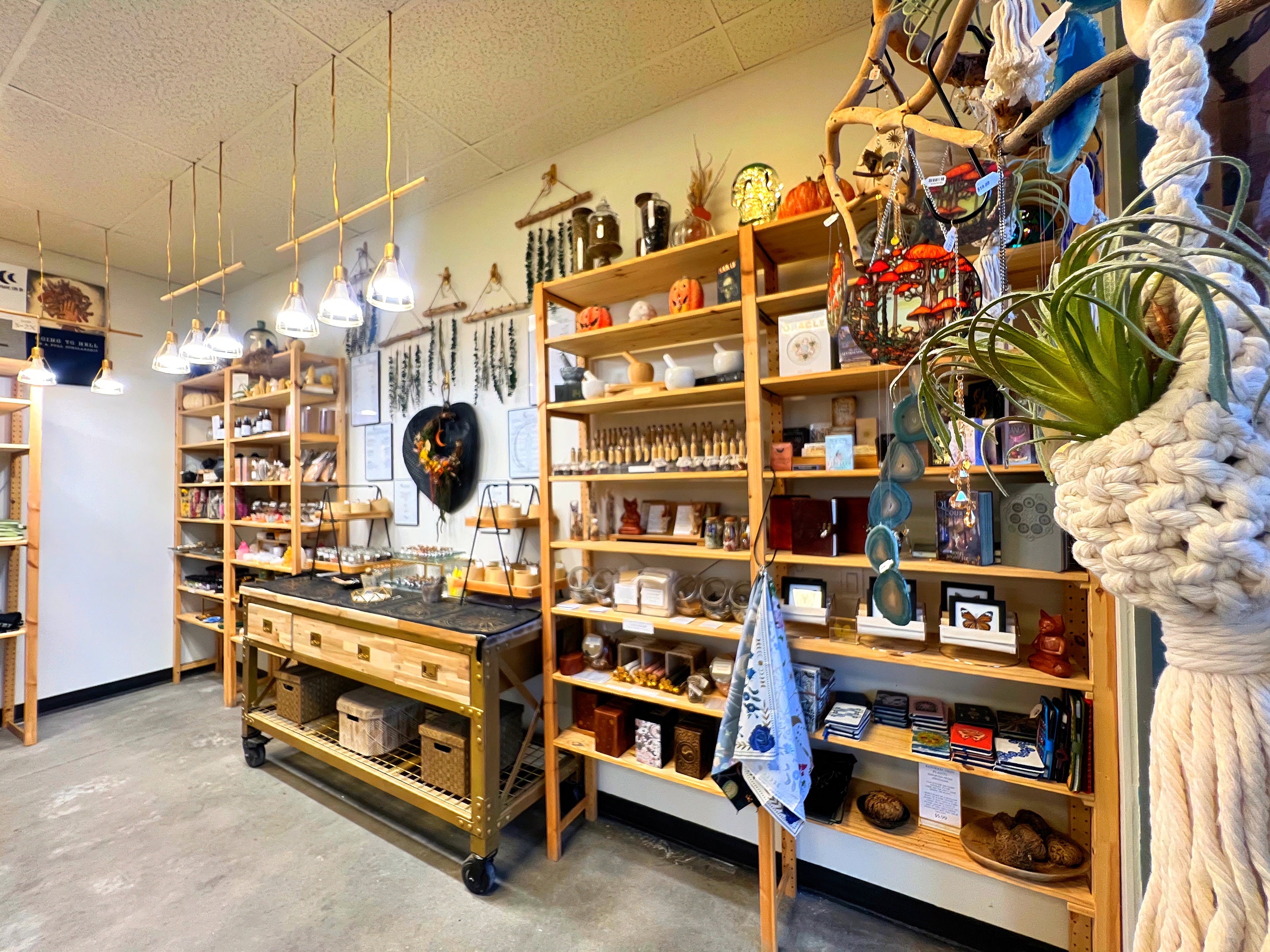 Inside the Centric Crystals store, shelves are artfully styled with crystals, candles, and spiritual home goods